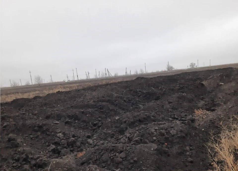 Фото: Межрегиональное управление Росприроднадзора по Астраханской и Волгоградской областям