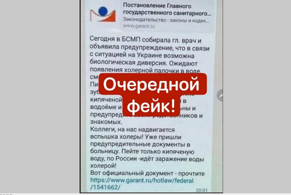 В Красноярске вновь рассылают фейки про холерную палочку