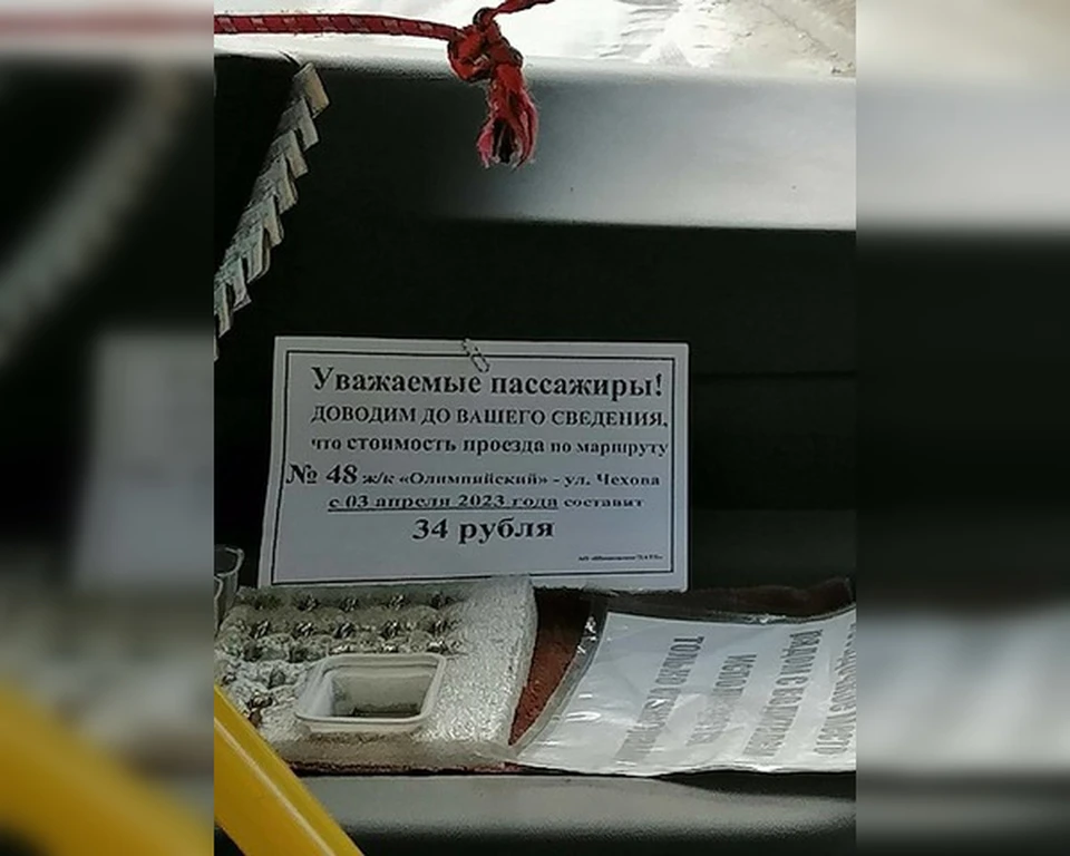 Фото: соцсети