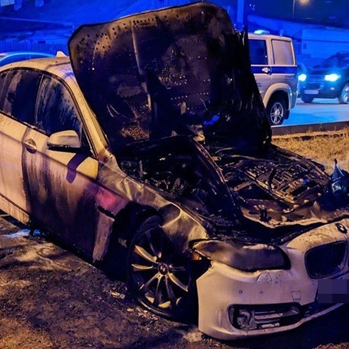 Метр участка ценой двух жизней: Два жителя Кубани убили друг друга из-за  земельного спора - KP.RU