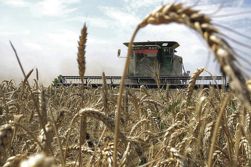 В прошлом сезоне на Херсонщине намолотили 1,5 миллиона тонн зерна.
