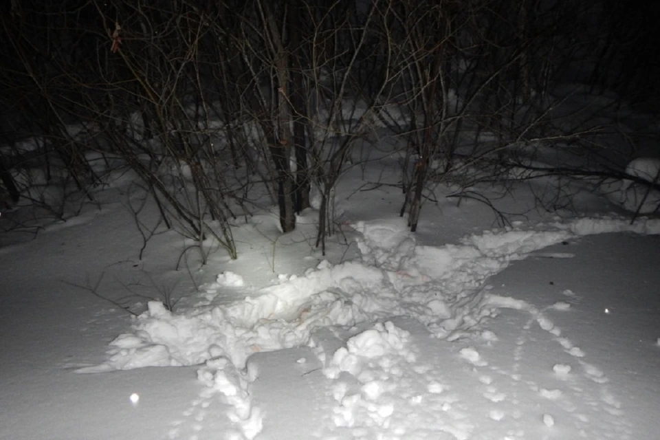 Под Новосибирском поймали браконьеров, убивших двух косуль. Фото: ГУ МВД НСО.
