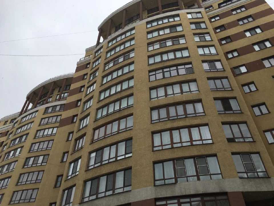 Фото автора.