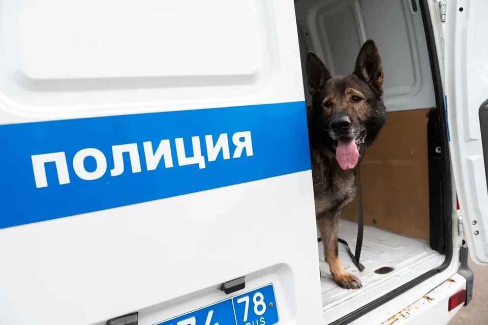 Служебный пес помог задержать мужчину, укравшего сумку у пенсионерки в Петербурге.