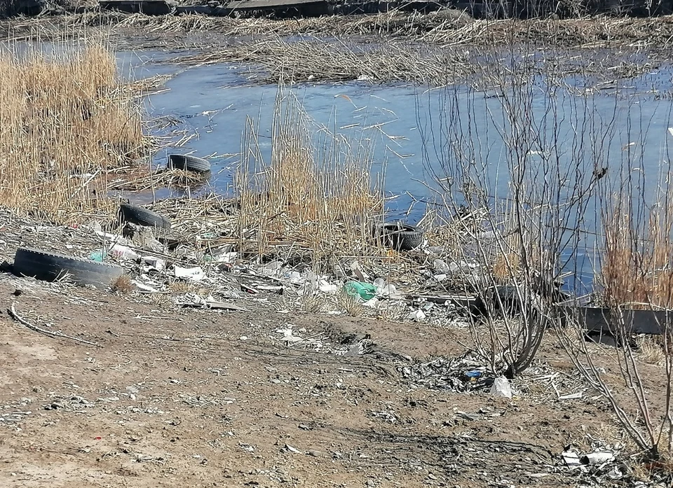 Загрязненный берег реки Серебряная Воложка
