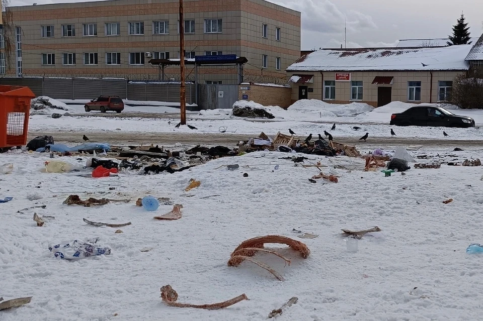 Рядом с мусорными баками разбросаны головы и кости животных. Фото: паблик «Моя Сортировка»