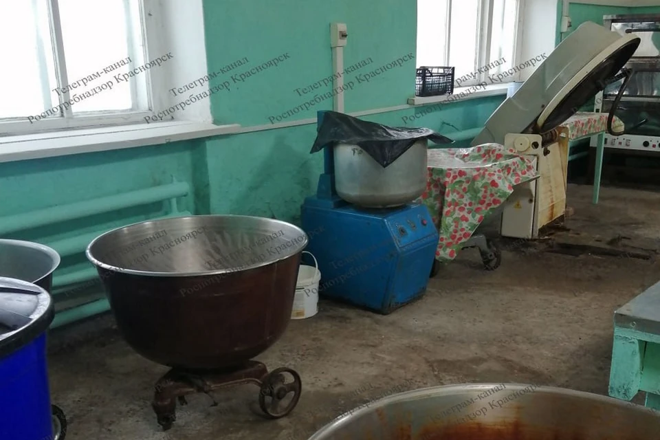 В Красноярском крае владелицу пекарни наказали на нарушения. Фото: Роспотребнадзор