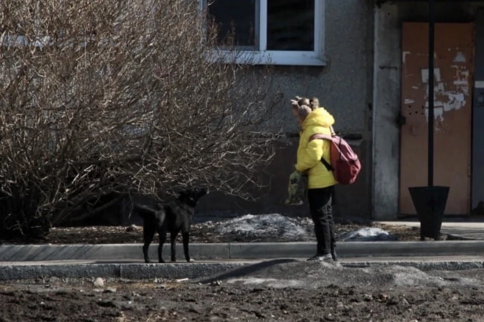 Бесплатная вакцинация домашних животных стартует в Смоленске с 13 марта.