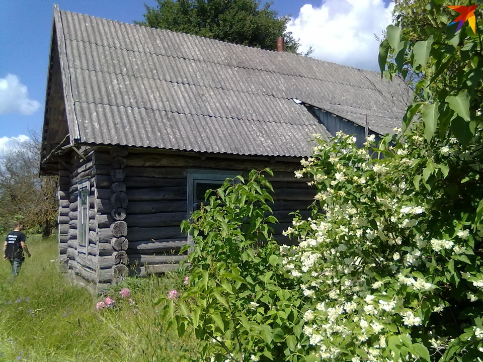 Заброшенный дом в белорусском селе можно недорого купить.