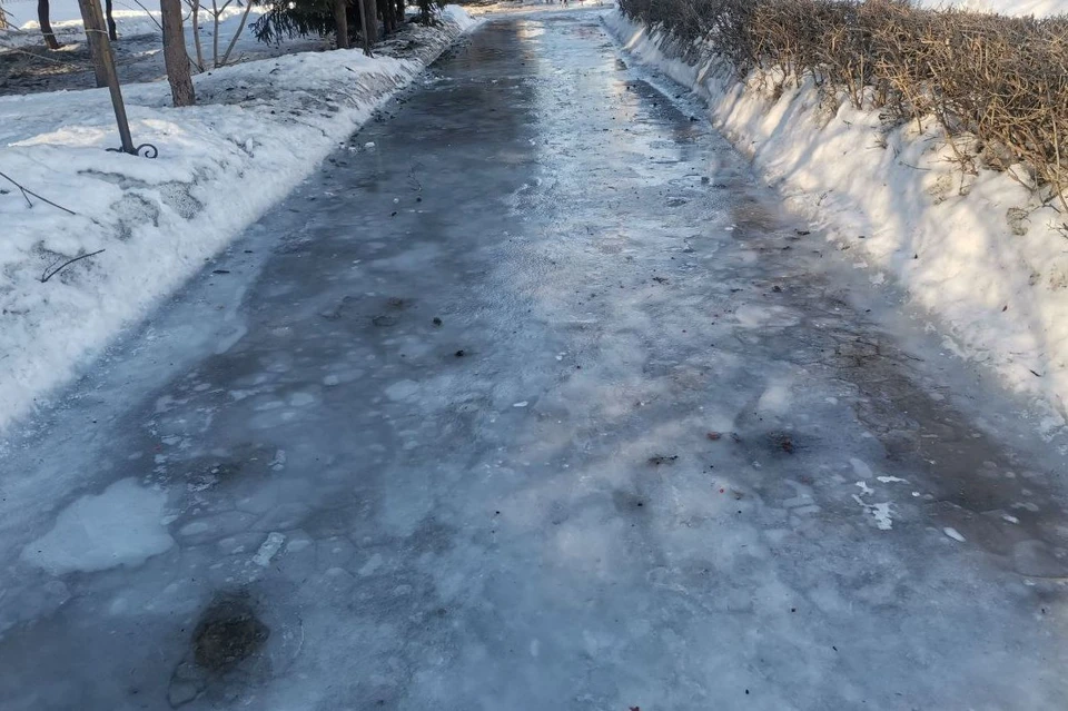 Гололед