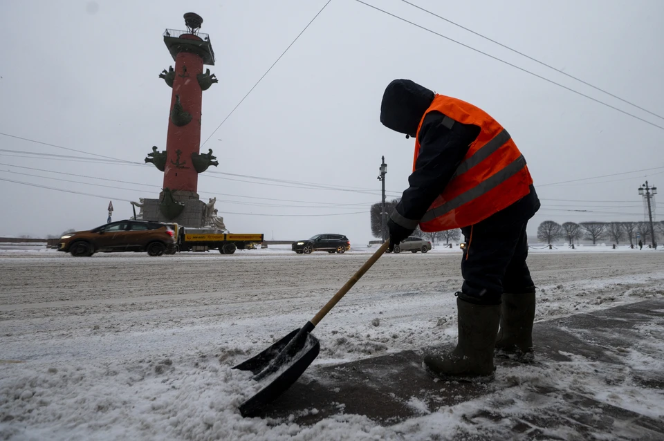 Ветер до 17 м/с поднимется в Петербурге 14 марта