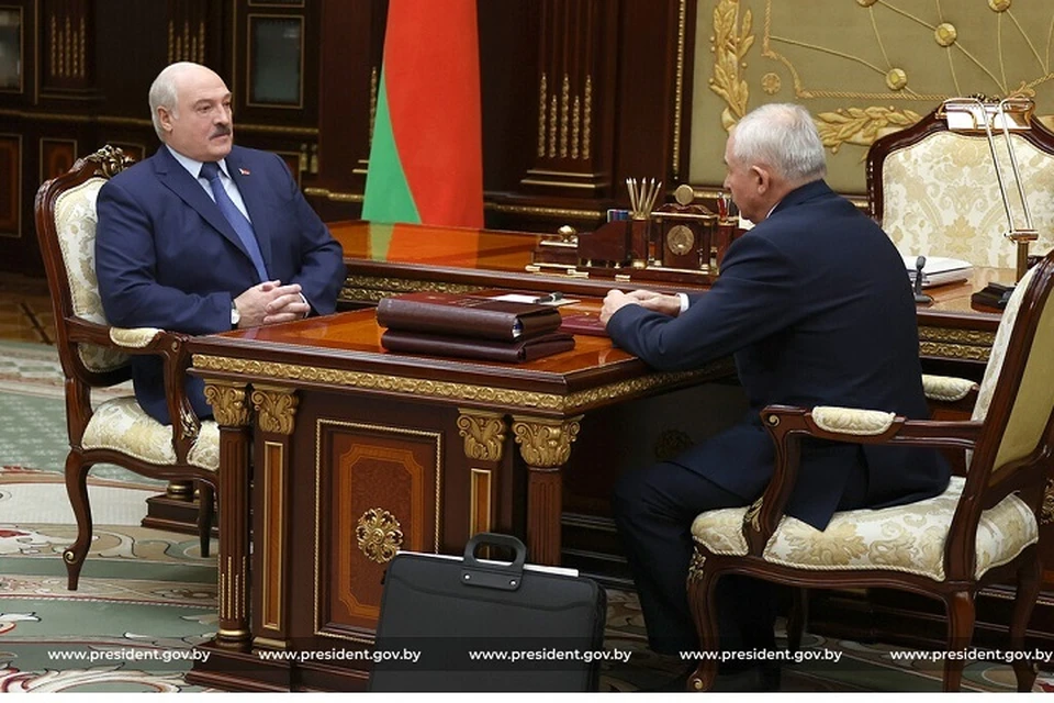 Лукашенко обсудил с Шейманом сотрудничество с африканскими странами. Фото: president.gov.by