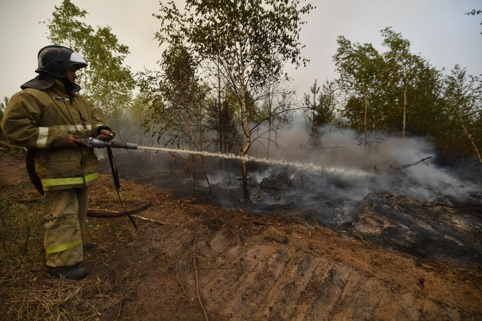В минувшем году число лесных возгораний в Ростовской области возросло.