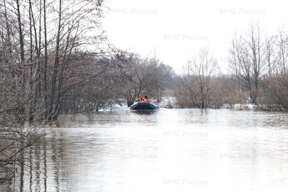 Уровень воды в Оке близ Рязани повысился еще на 24 сантиметра. Фото: ГУ МЧС по Рязанской области.