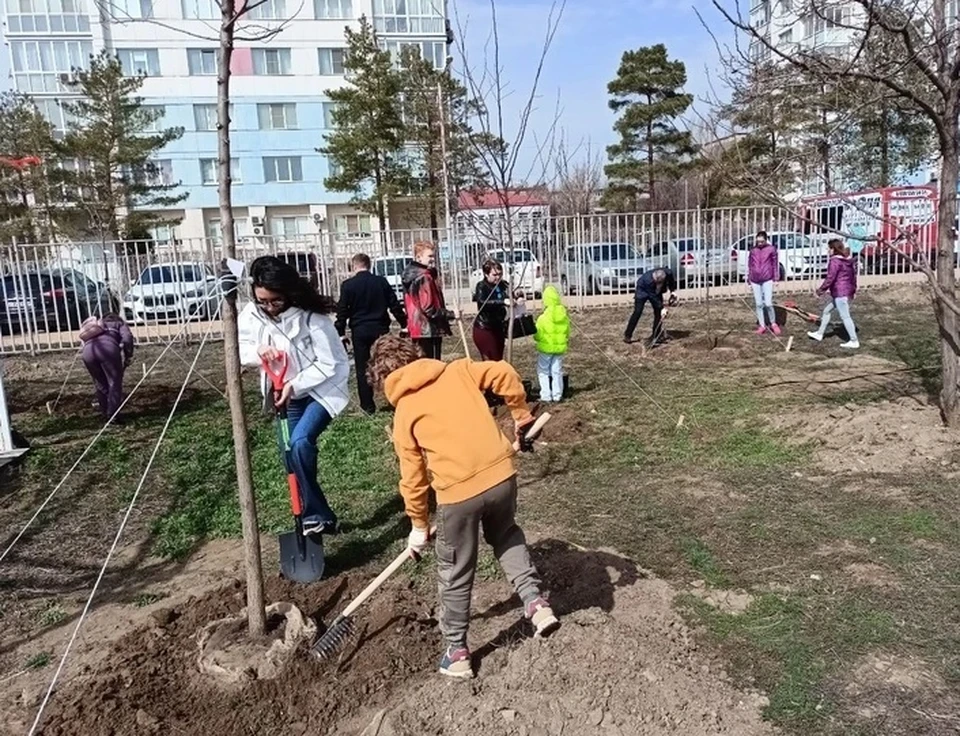 В начале апреля в Волгограде пройдет общегородской субботник
