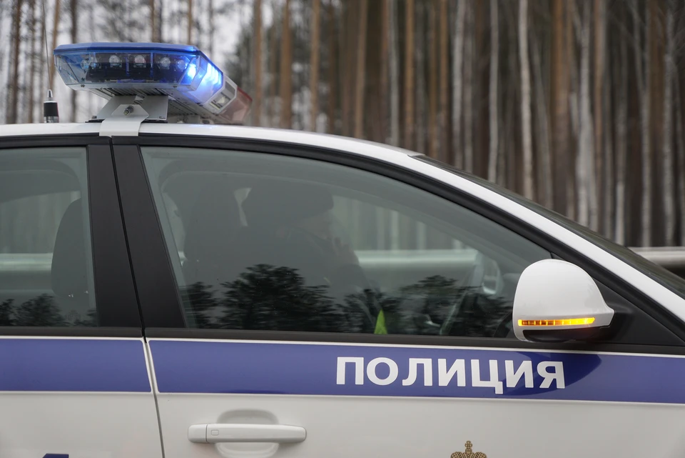 Инцидент произошел в ночь на 19 марта на улице Ломоносова