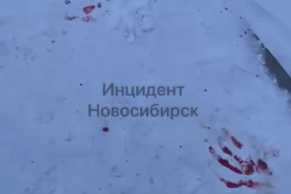 Сбежавший пациент поранился, и на снегу остались капли крови. Фото: «Инцидент Новосибирск».