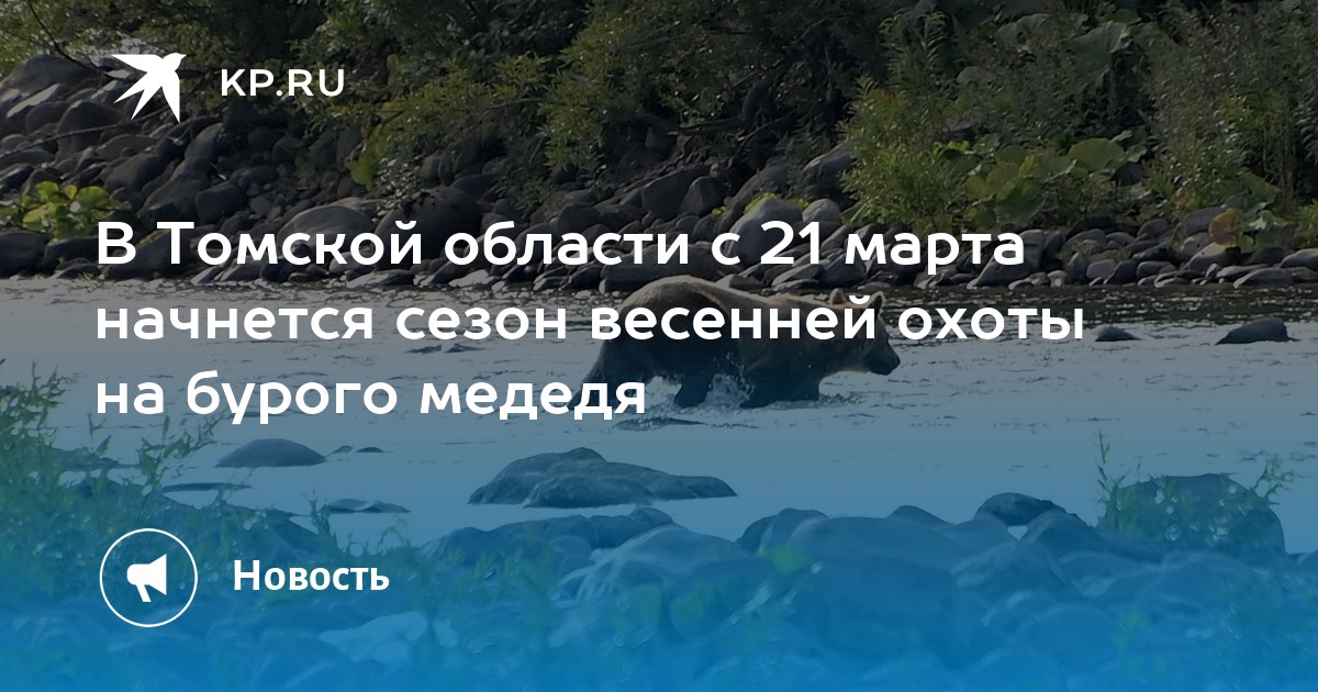 В Томской области установлен лимит на отстрел медведей