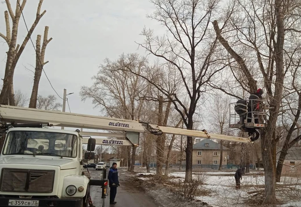 Возле ульяновских школ снесли аварийные деревья