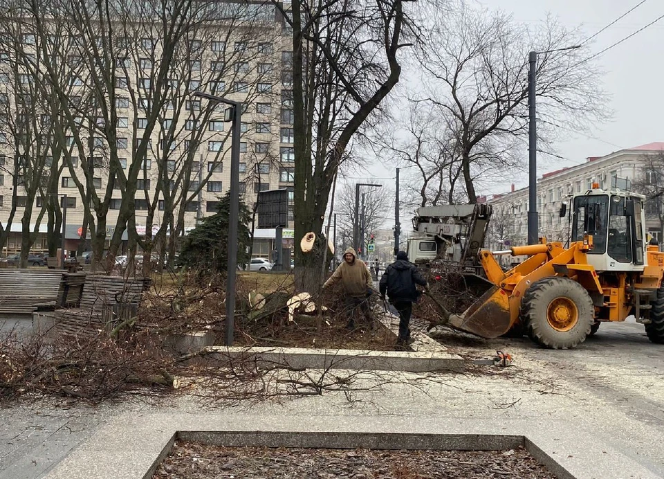 Фото городского управления экологии