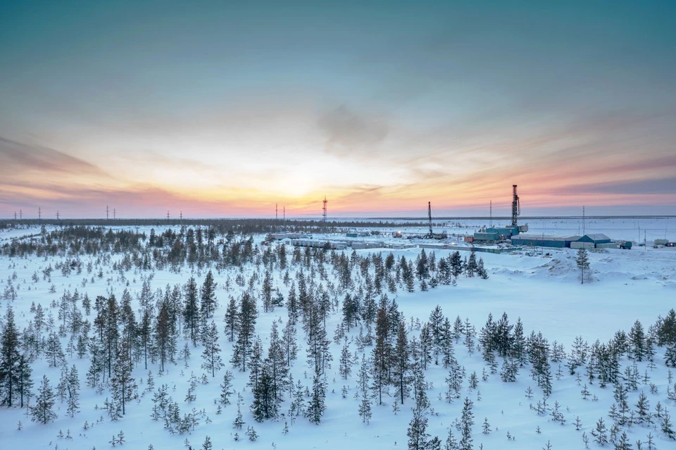 Фото предоставлено компанией «Газпромнефть-Ноябрьскнефтегаз». Автор: Стоян Васев.