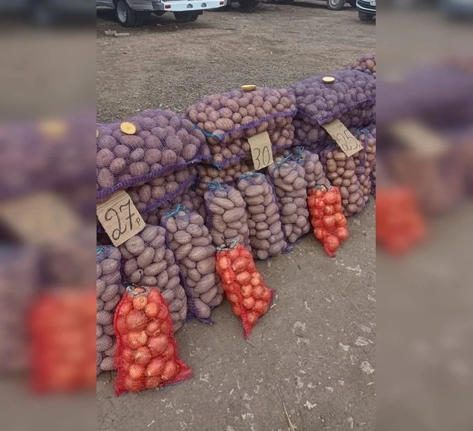 Фото: администрация Симферополя