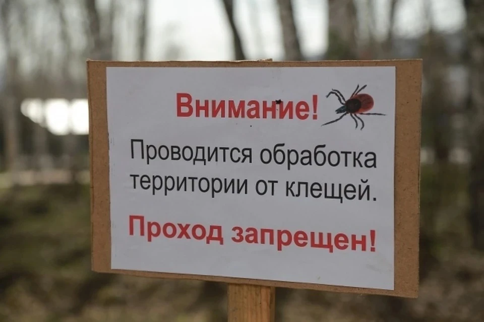В Липецкой области готовятся к сезону активности клещей