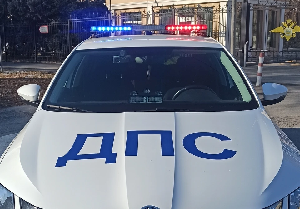 Фото: ГУ МВД России по Волгоградской области