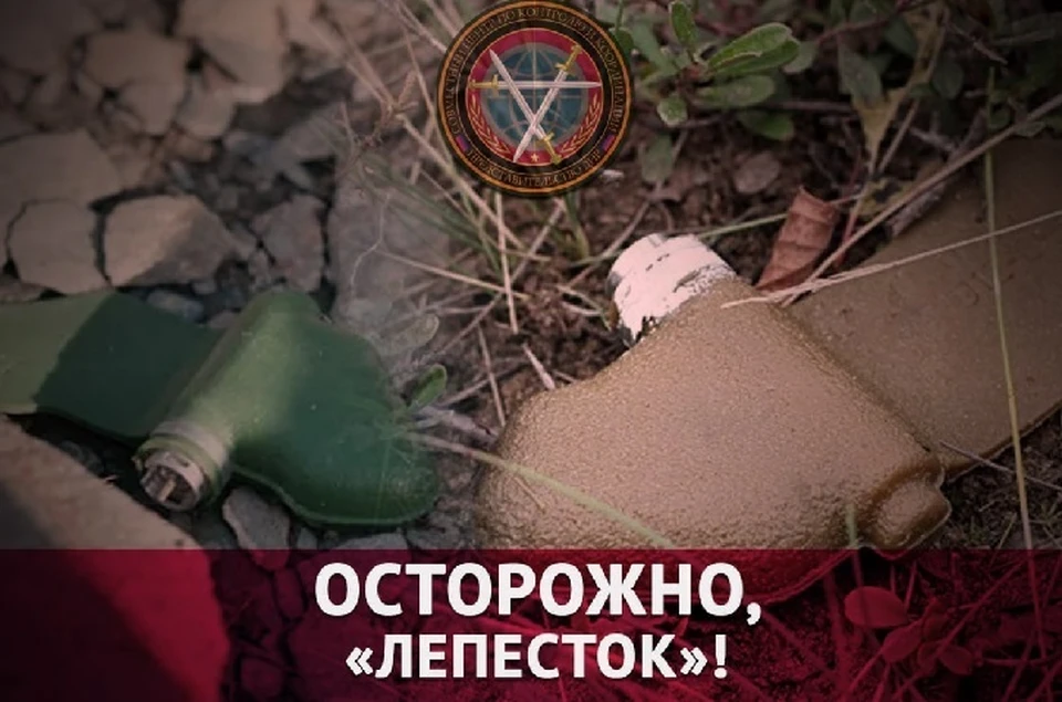 При обнаружении ВОП звоните в МЧС по номеру 101. Фото: СЦКК ДНР