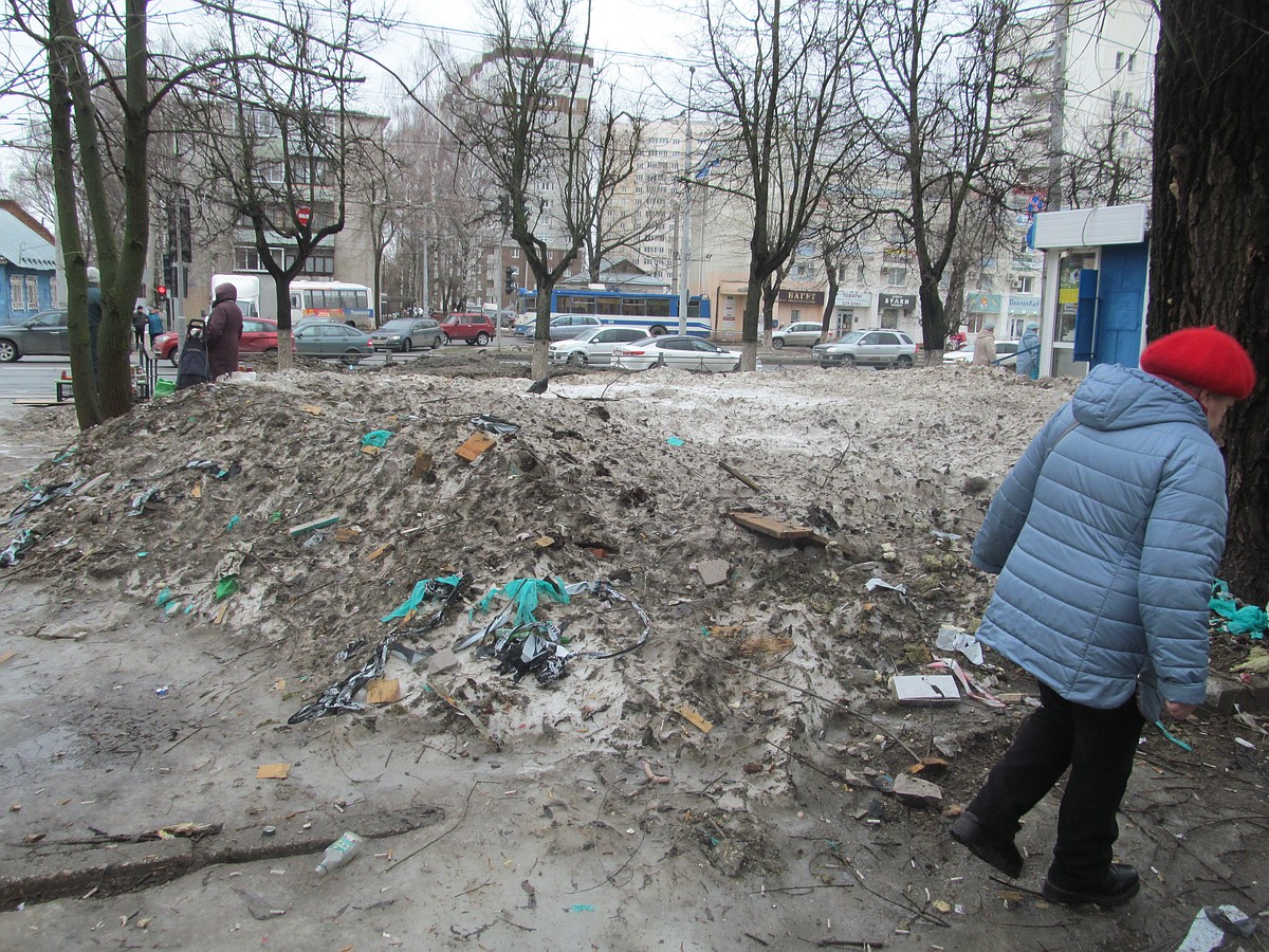 Мэрия Владимира уверяет, что мусорные проблемы в городе возникли из-за  сбоев в работе управляющих компаний - KP.RU