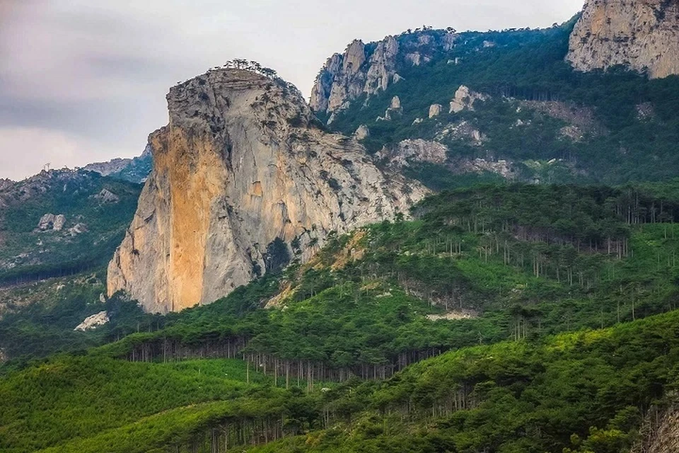 Фото: ФГБУ "Заповедный Крым"