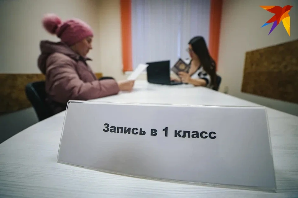 Большая часть родителей для подачи заявления воспользовалась порталом Госуслуг