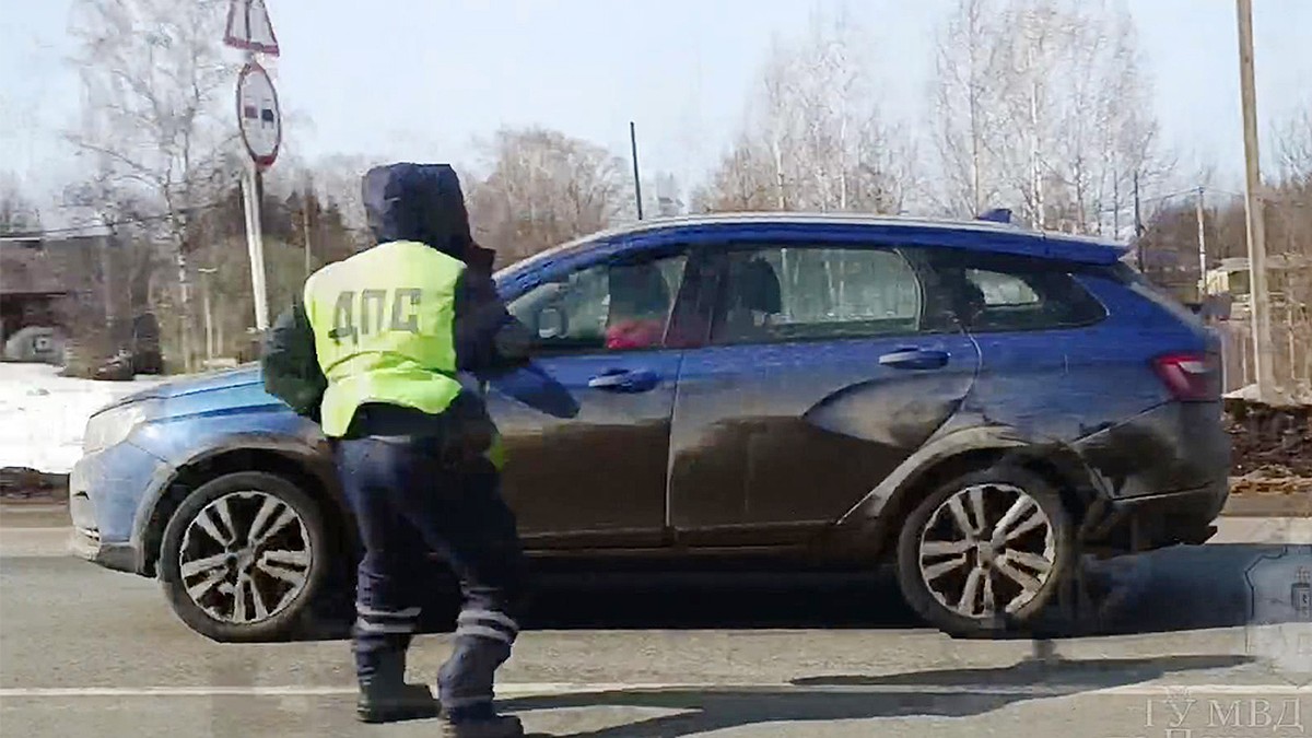 В Пермском крае пьяная автоледи скрываясь от полиции, прокатила инспектора  на капоте - KP.RU