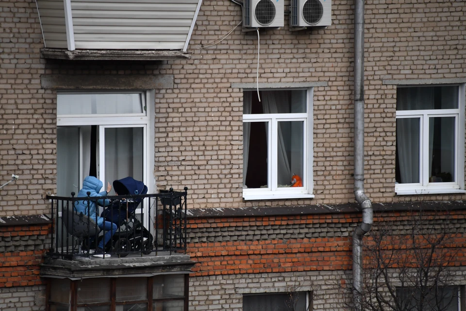 Жительница Кстова выбросила с балкона семимесячную внучку.
