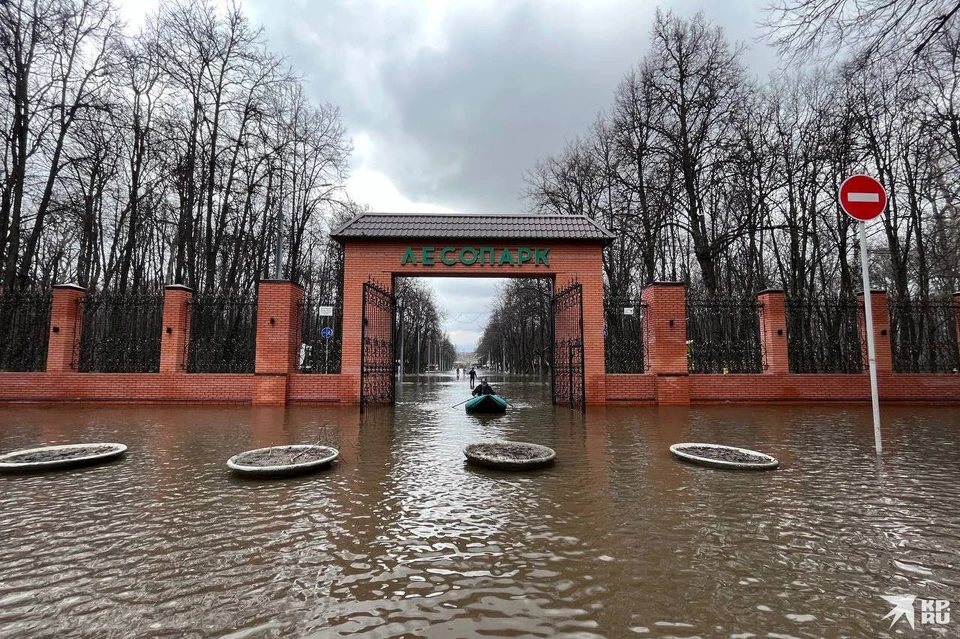 Лесопарк рязань затопило. Затопление лесопарка в Рязани. Рязань лесопарк затоплен. Лесопарк разлив.