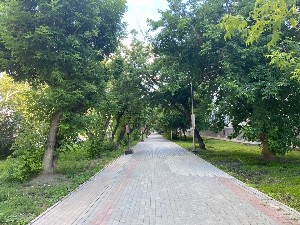 Взрослые плодоносящие деревья стоит обрезать в период распускания почек или цветения.