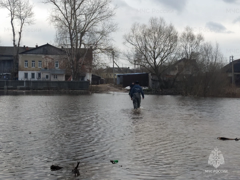 Фото: ГУ МЧС России по Владимирской области