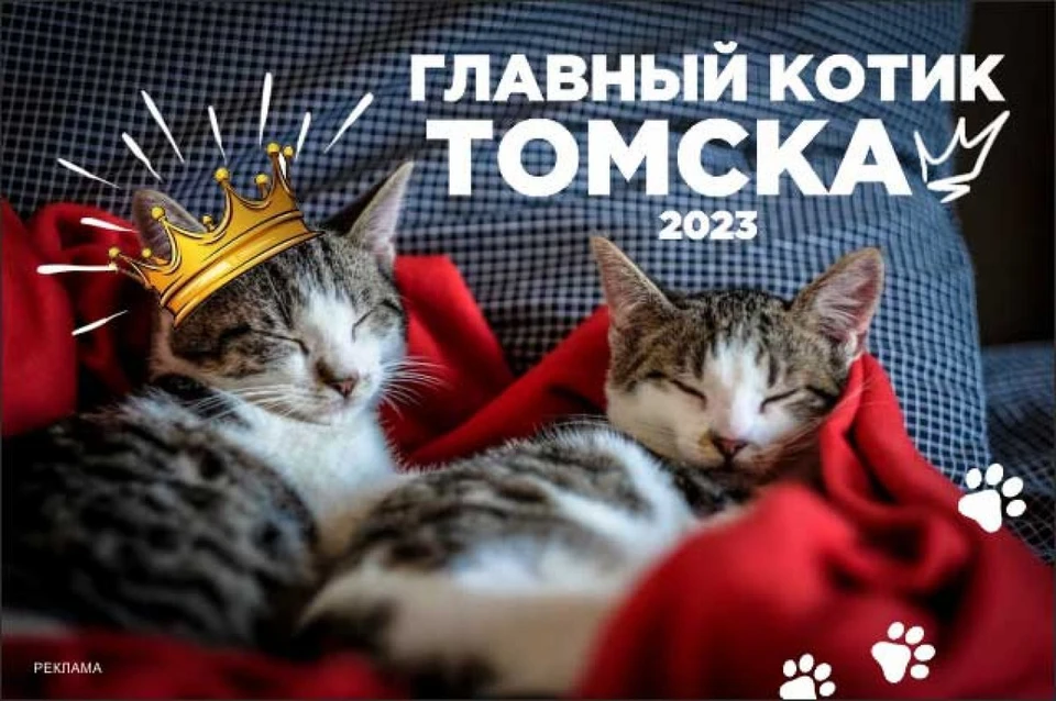 Фото: "АиФ-Томск"