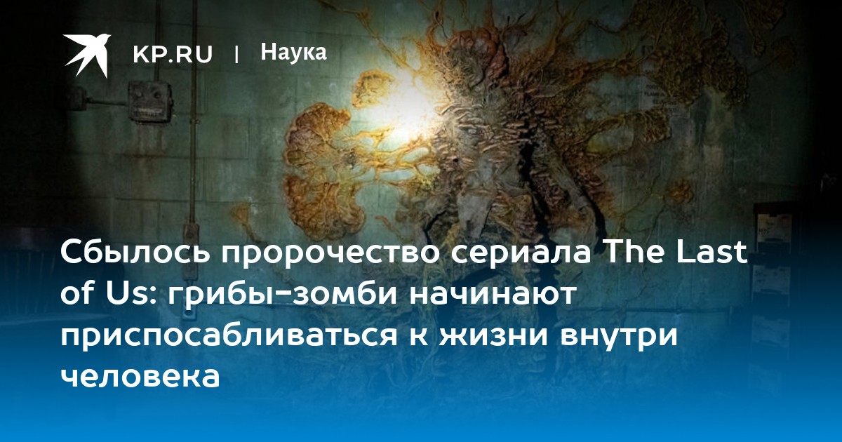 The last of us грибы