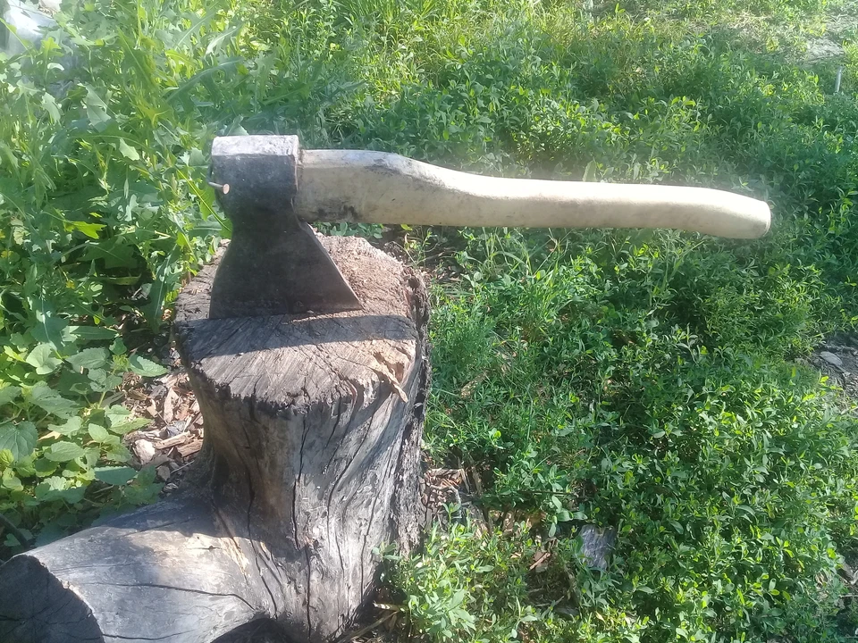 Белгородец зарубил топором двух собутыльников - KP.RU