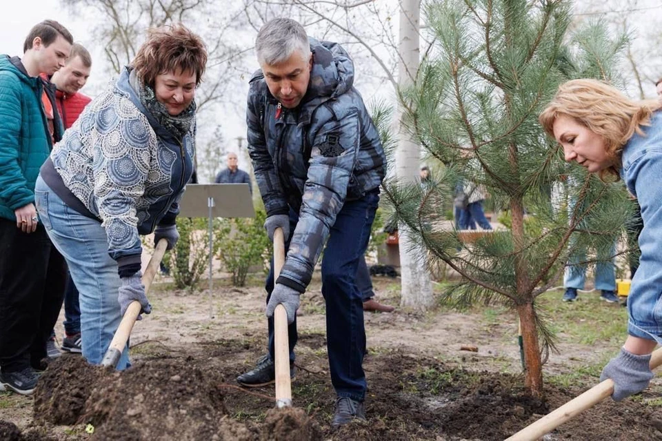 Алексей Логвиненко лично принял участие в насаждении аллей. Фото: пресс-служба администрации Ростова-на-Дону.