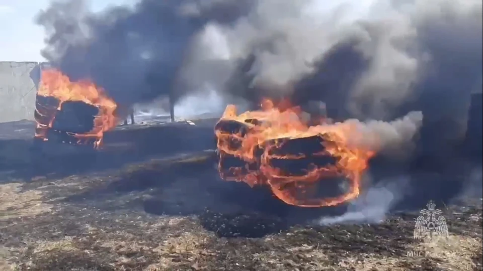 Фото: скриншот из видео