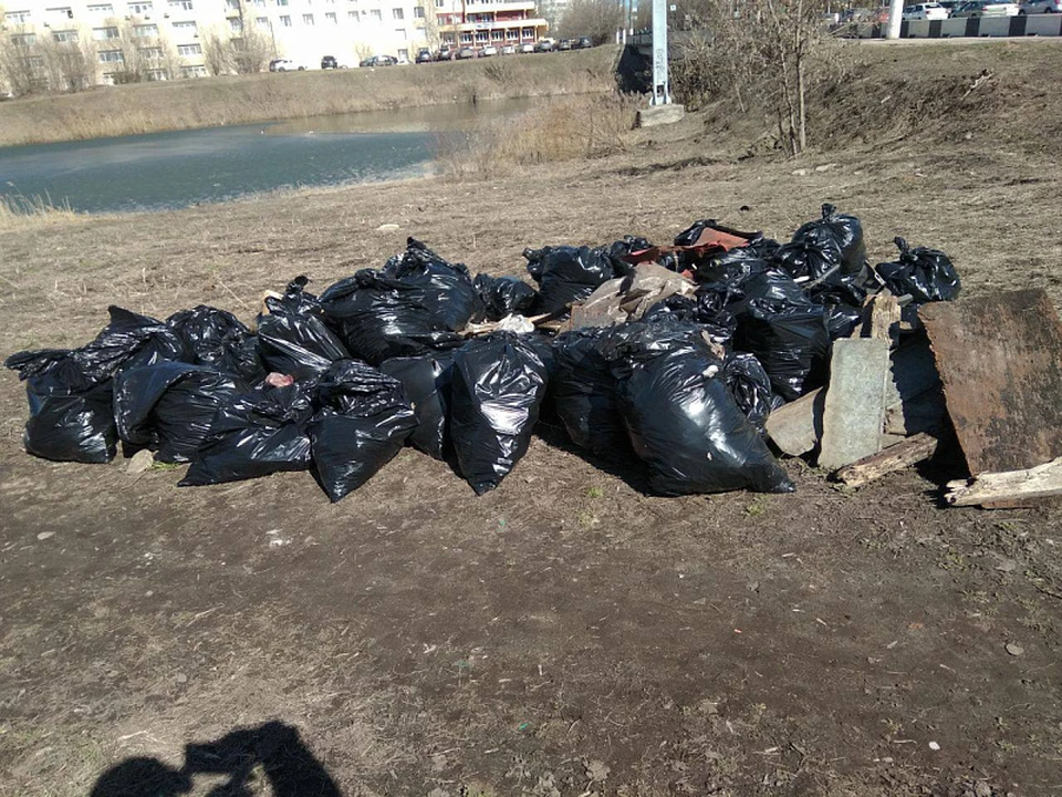 В Твери собрали около ста кубометров мусора Фото: администрация Твери