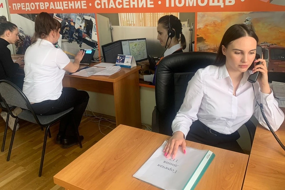 Звонок бесплатный, а обратиться можно в любое время суток. Фото: правительство Ростовской области