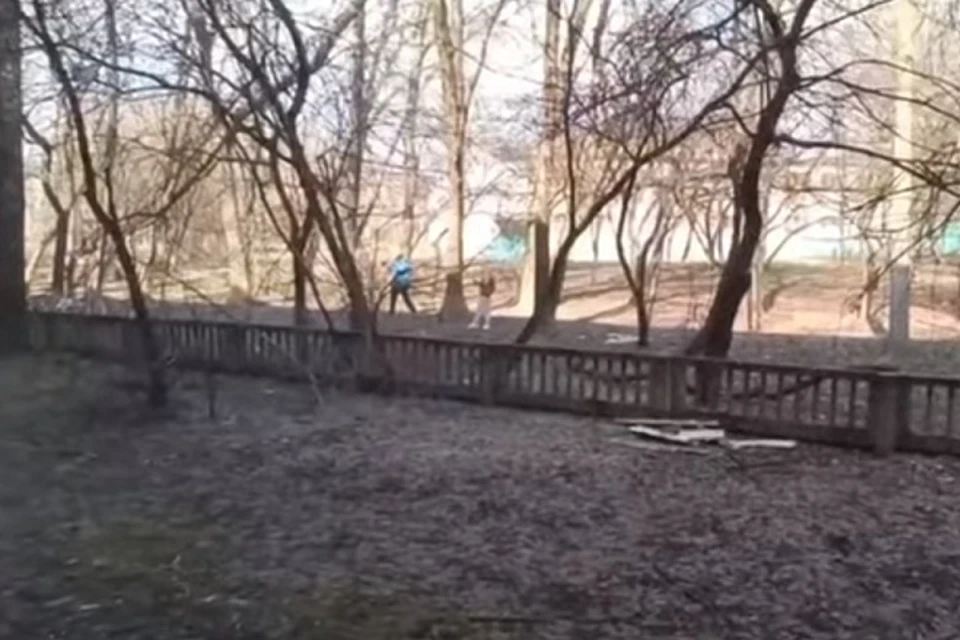 Ярославец устроил тир во дворе дома. Скриншот с видео, группа "Подслушано в Ярославле" ВКонтакте