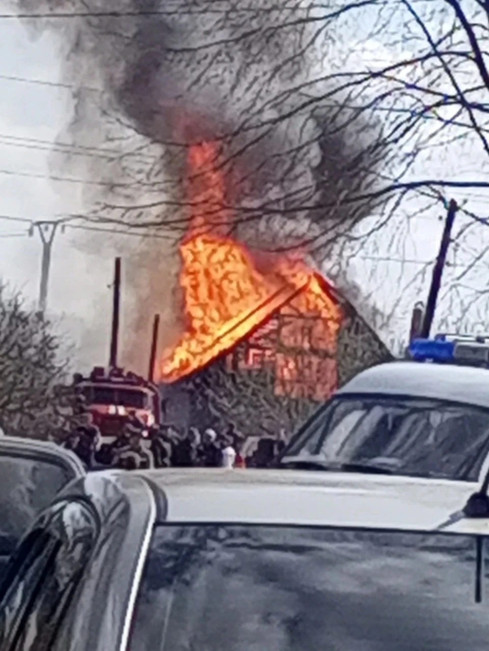Фото: социальные сети