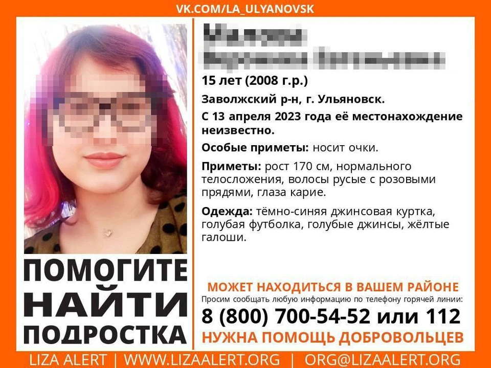 Фото: Лиза Алерт.