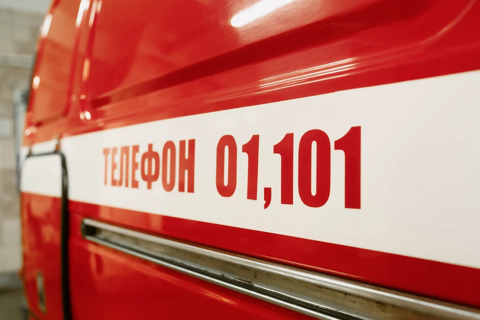Всего в Удмуртии произошло 109 ландшафтных пожаров с начала сезона