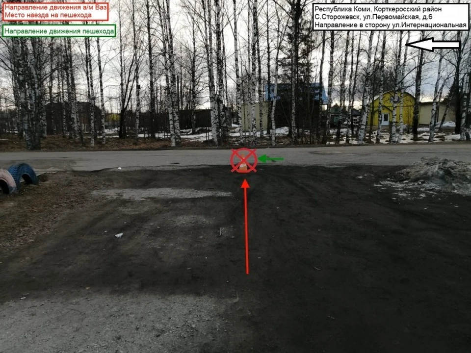 Фото УГИБДД МВД по Коми