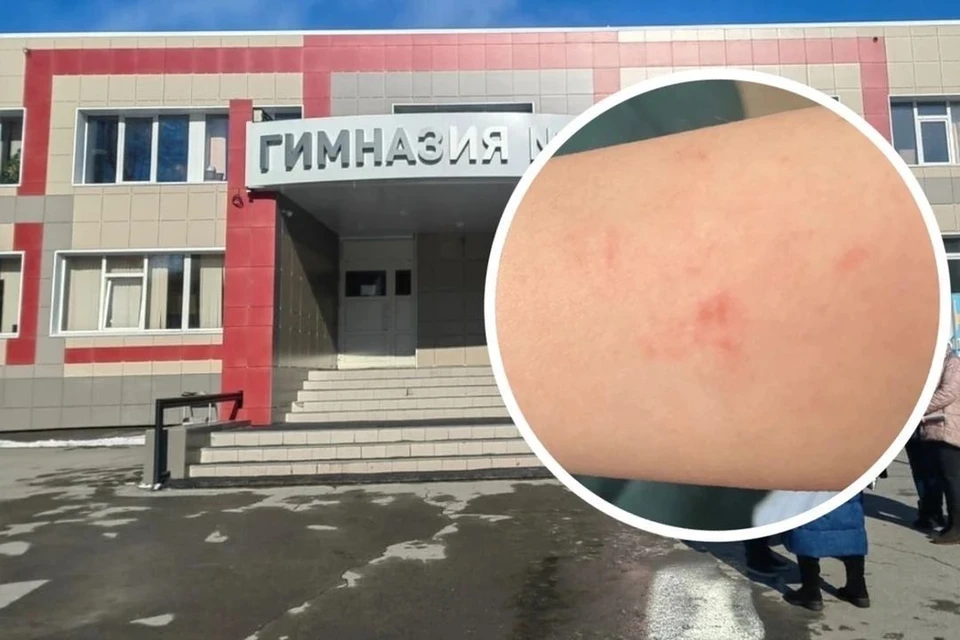 Новосибирский депутат Ростислав Антонов отреагировал на конфликт в одной из местных школ. Фото: предоставлено родителями детей
